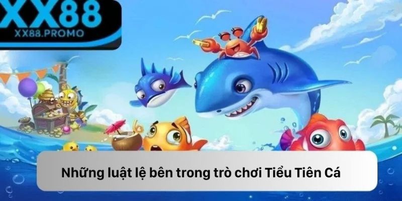 Những luật lệ bên trong trò chơi Tiểu Tiên Cá